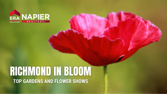 Spring in Bloom: Richmond's Top Gardens and Flower Shows | Napier ERA